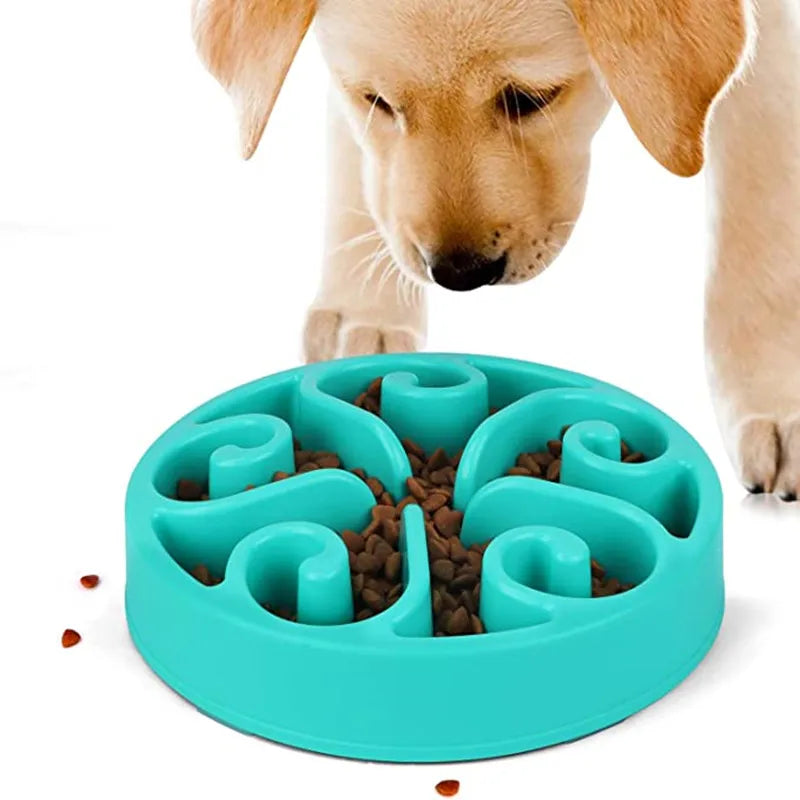 Feeding Essentials