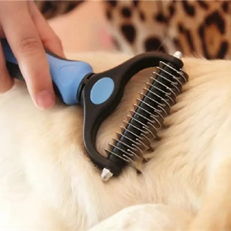 Pet Grooming & Hygiene