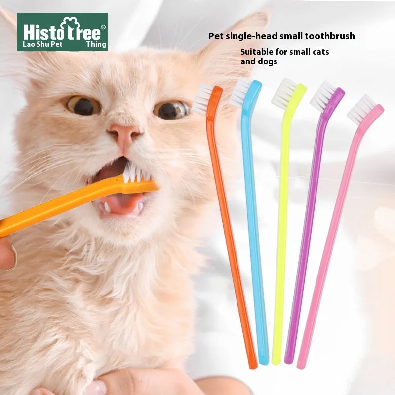 Pet Health & Wellness