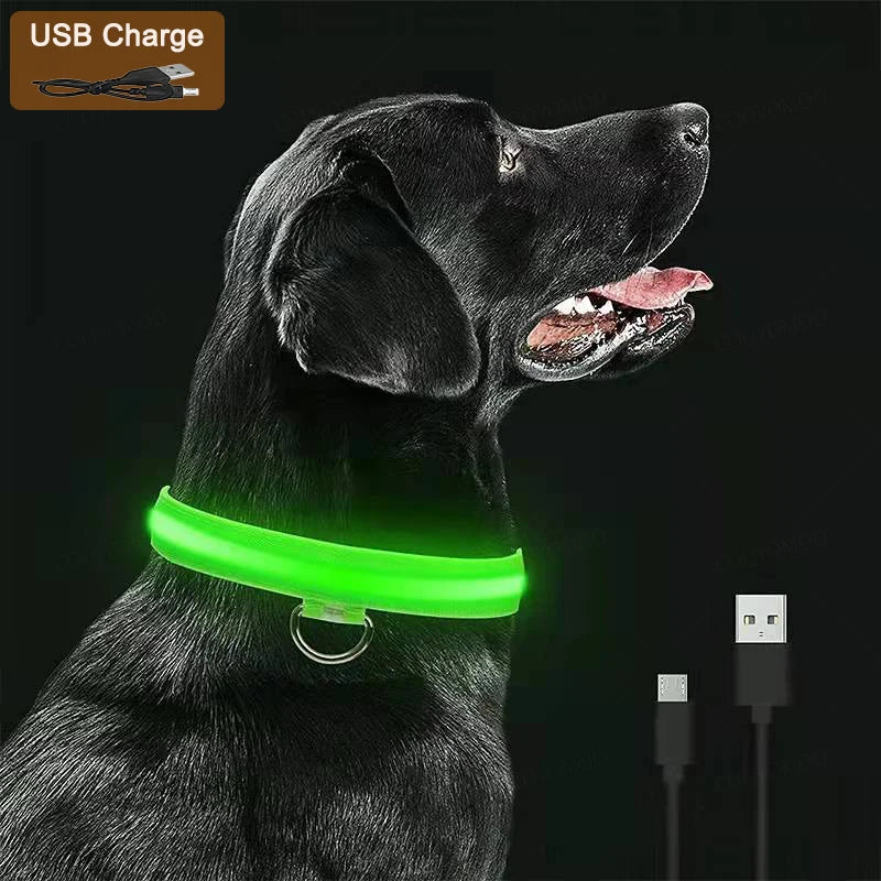 USB Rechargeable LED Dog Collar – Night Safety, Reflective, Waterproof, Adjustable