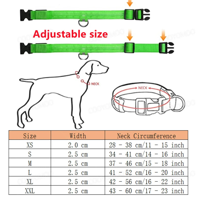 USB Rechargeable LED Dog Collar – Night Safety, Reflective, Waterproof, Adjustable