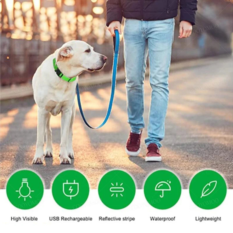 USB Rechargeable LED Dog Collar – Night Safety, Reflective, Waterproof, Adjustable