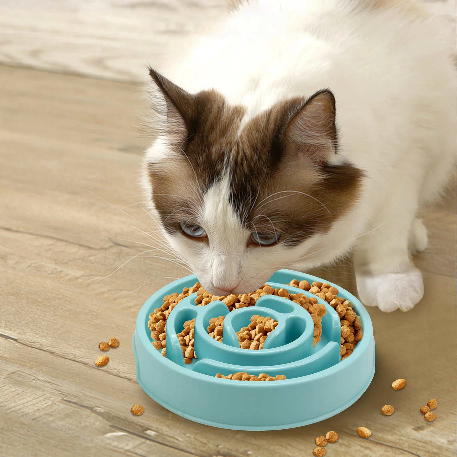 Pet Dog Slow Feeder Bowl Eco Dog Bowl Fun Non Slip Anti-Gulping Slower Food Feeding Dishes for Small Medium Large Dogs Puppy