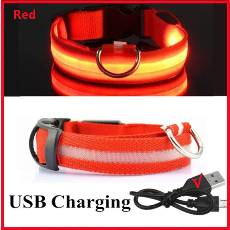 USB Rechargeable LED Dog Collar – Night Safety, Reflective, Waterproof, Adjustable