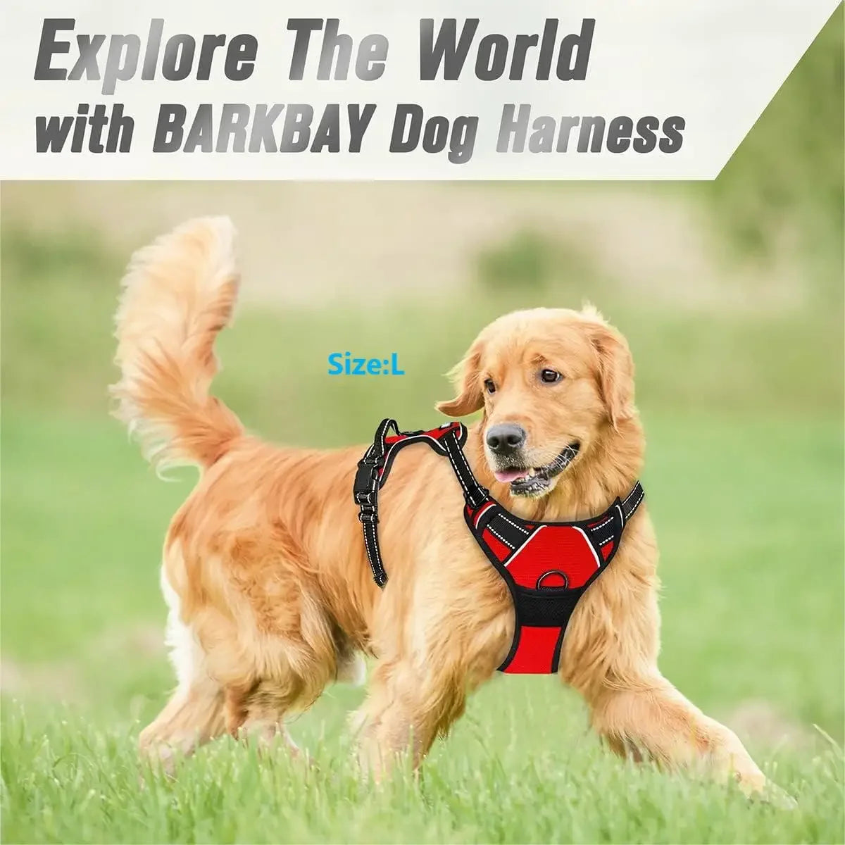 No-Pull Reflective Dog Harness with Front Clip & Handle