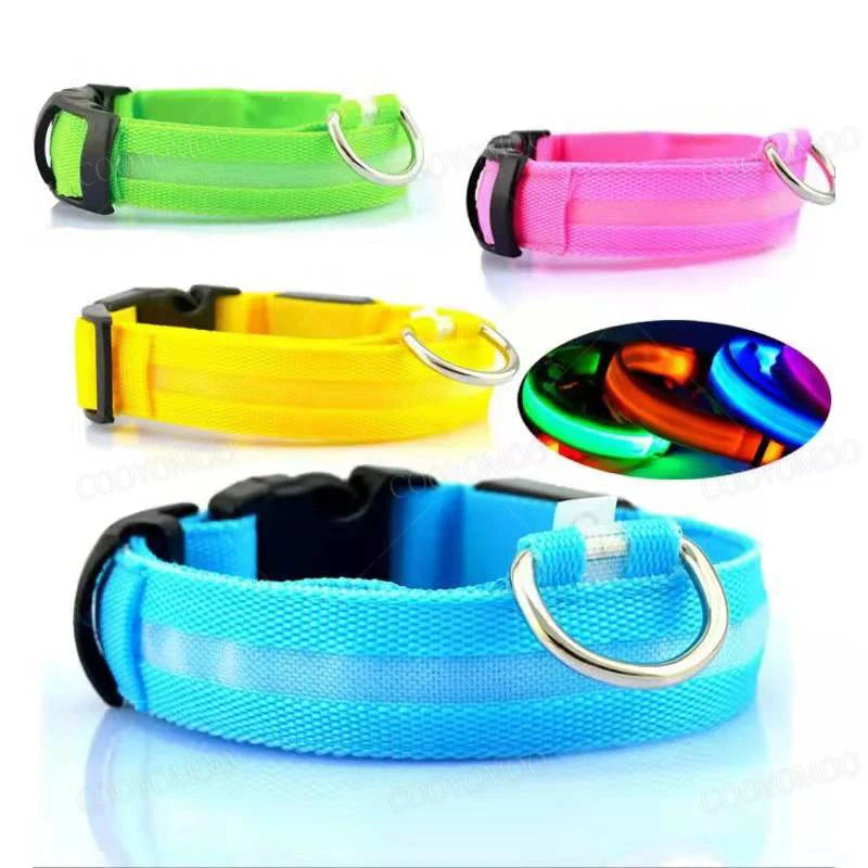 USB Rechargeable LED Dog Collar – Night Safety, Reflective, Waterproof, Adjustable