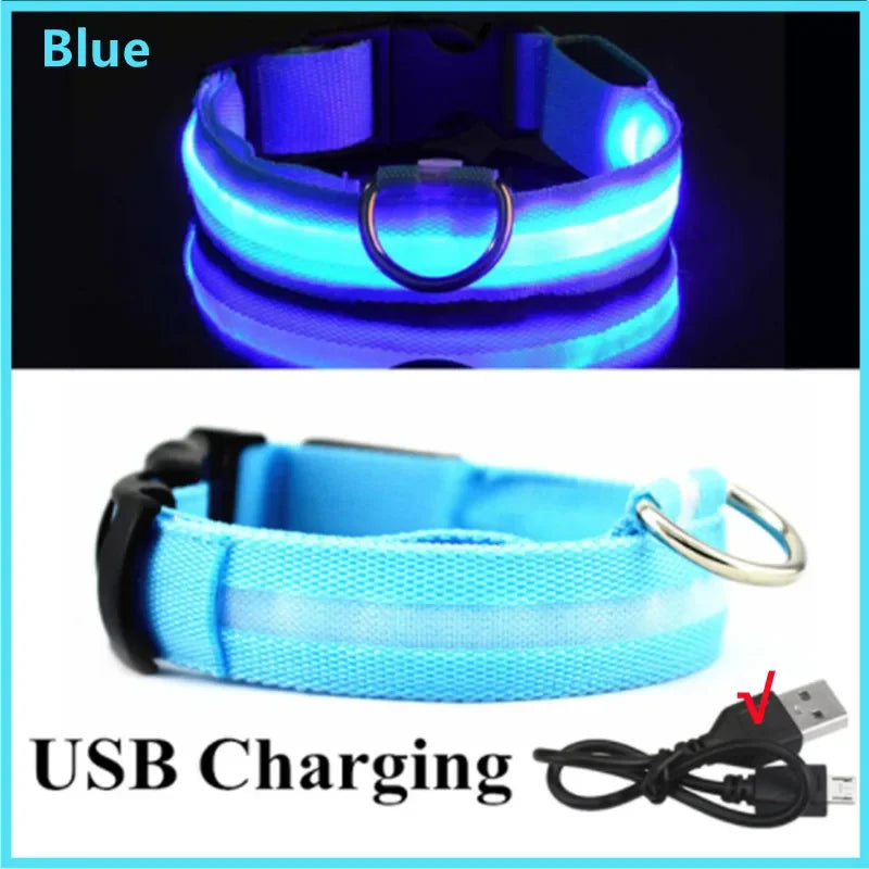 USB Rechargeable LED Dog Collar – Night Safety, Reflective, Waterproof, Adjustable
