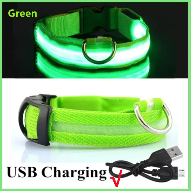 USB Rechargeable LED Dog Collar – Night Safety, Reflective, Waterproof, Adjustable