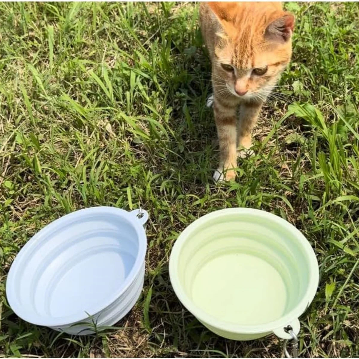 Collapsible Dog Travel Bowls – 2 Pack with Carabiners