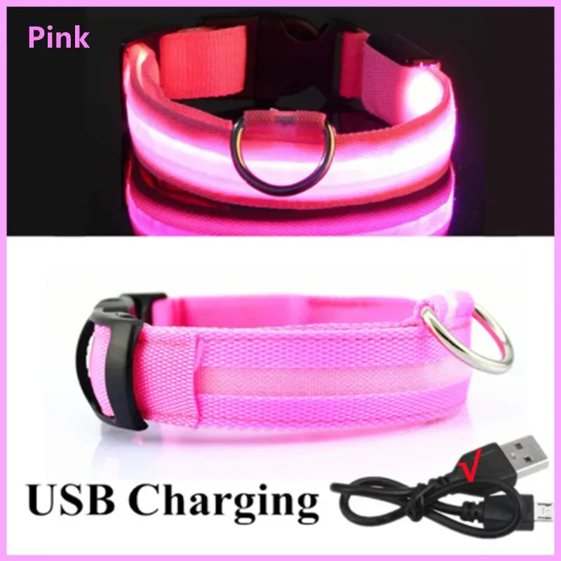 USB Rechargeable LED Dog Collar – Night Safety, Reflective, Waterproof, Adjustable