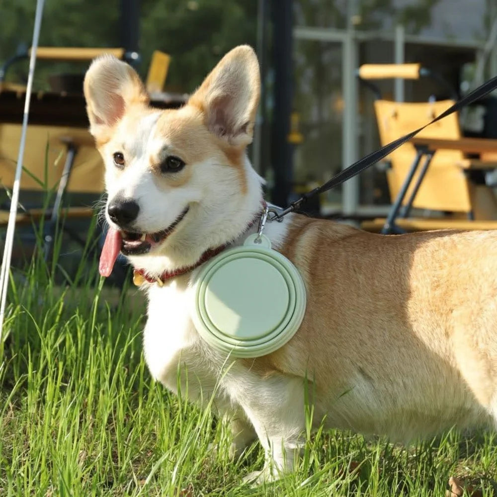 Collapsible Dog Travel Bowls – 2 Pack with Carabiners