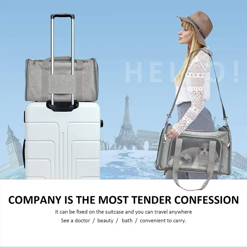 Airline-Approved Pet Carrier Backpack – Ventilated Travel Bag for Cats & Small Dogs