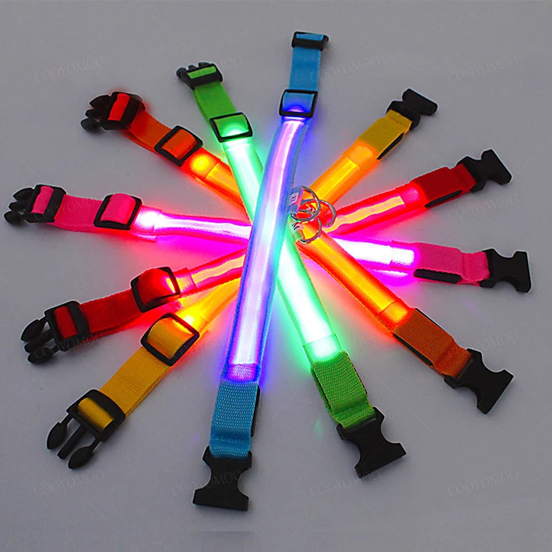 USB Rechargeable LED Dog Collar – Night Safety, Reflective, Waterproof, Adjustable