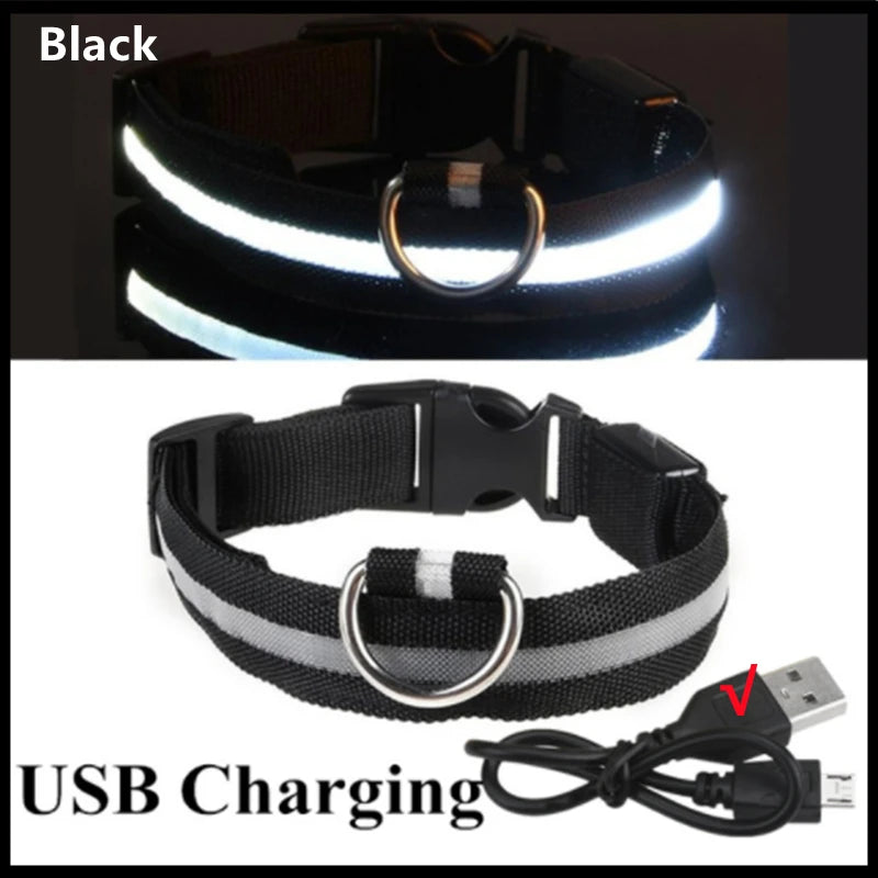 USB Rechargeable LED Dog Collar – Night Safety, Reflective, Waterproof, Adjustable