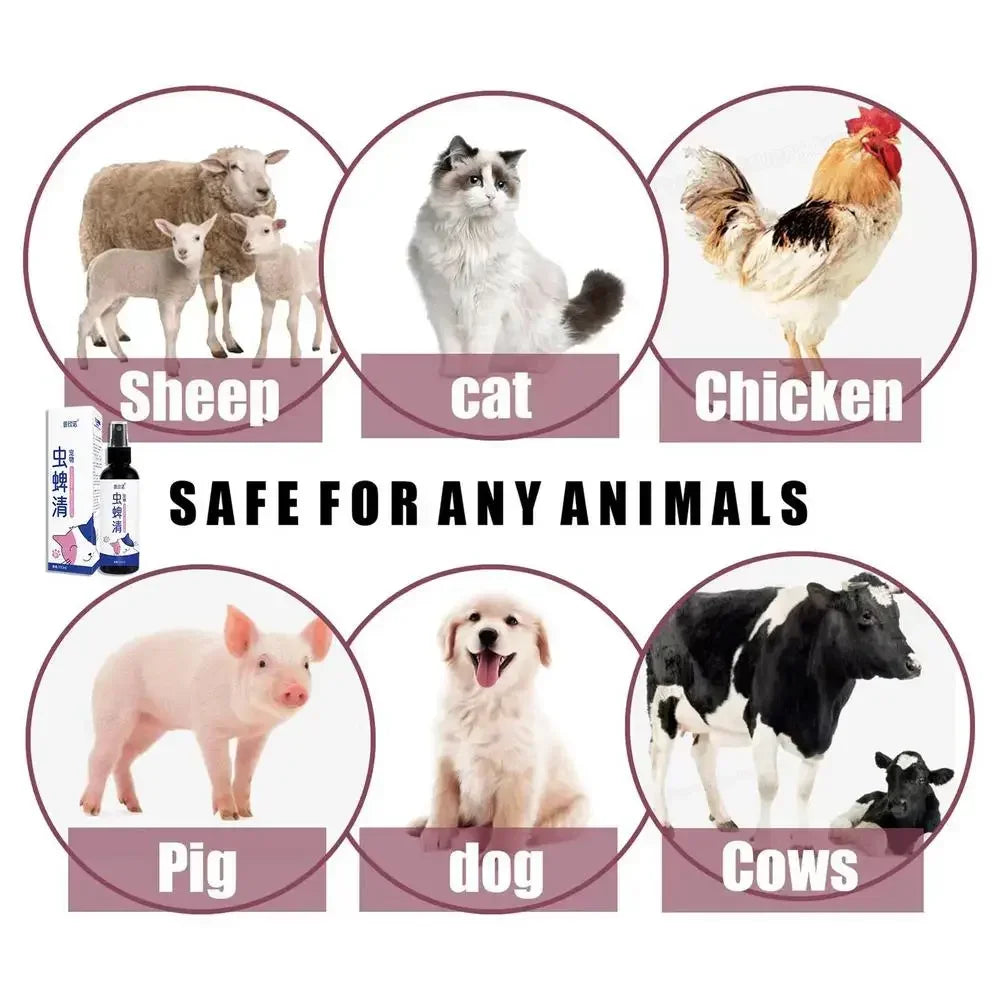 Pet Dog Cat Anti Flea Drops 100ml Insectcide Flea Lice Insect Remover Spray Flea And Tick Concentrate Formula Pet Flea Remover